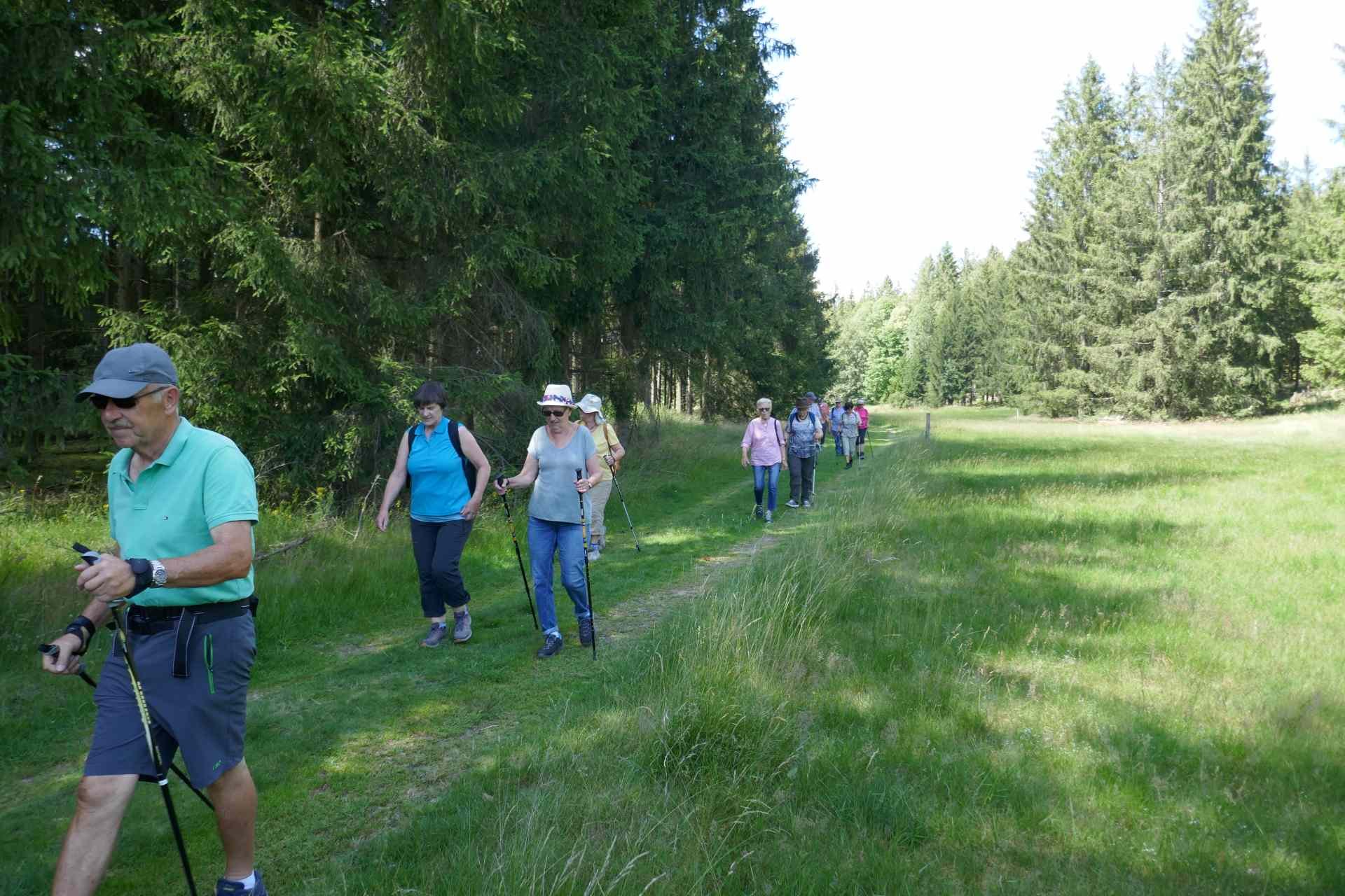 07 Juli - Weiherwiesen bei Tauchenweiler
